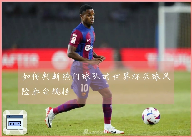 如何判断热门球队的世界杯买球风险和合规性