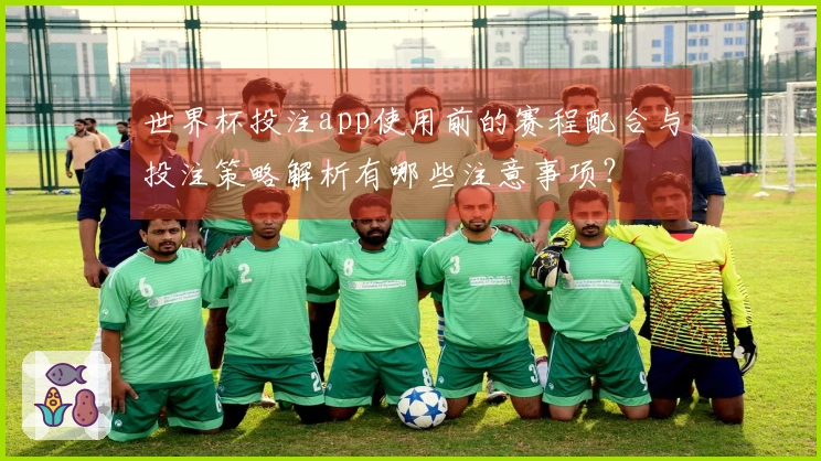 世界杯投注app使用前的赛程配合与投注策略解析有哪些注意事项？