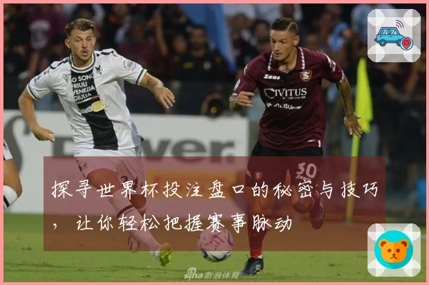 探寻世界杯投注盘口的秘密与技巧,让你轻松把握赛事脉动