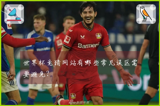 世界杯竞猜网站有哪些常见误区需要避免？
