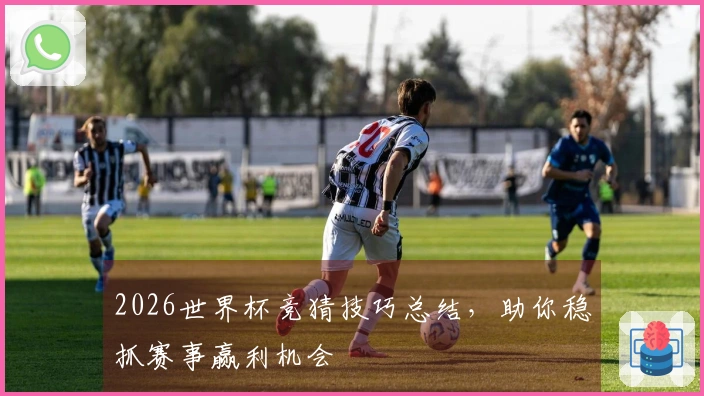 2026世界杯竞猜技巧总结,助你稳抓赛事赢利机会