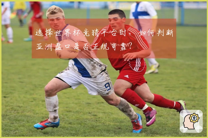 选择世界杯竞猜平台时，如何判断亚洲盘口是否正规可靠？
