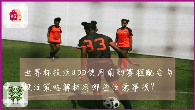 世界杯投注app使用前的赛程配合与投注策略解析有哪些注意事项？
